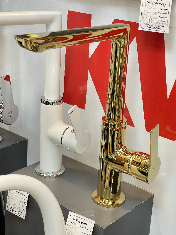 ظرفشویی ریتا طلایی براق